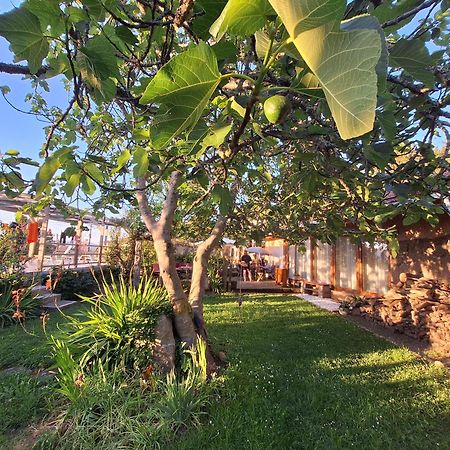 Pilgrims Rest - Vila Nova De Cerveira - Hostel - Albergue - Al Exteriör bild