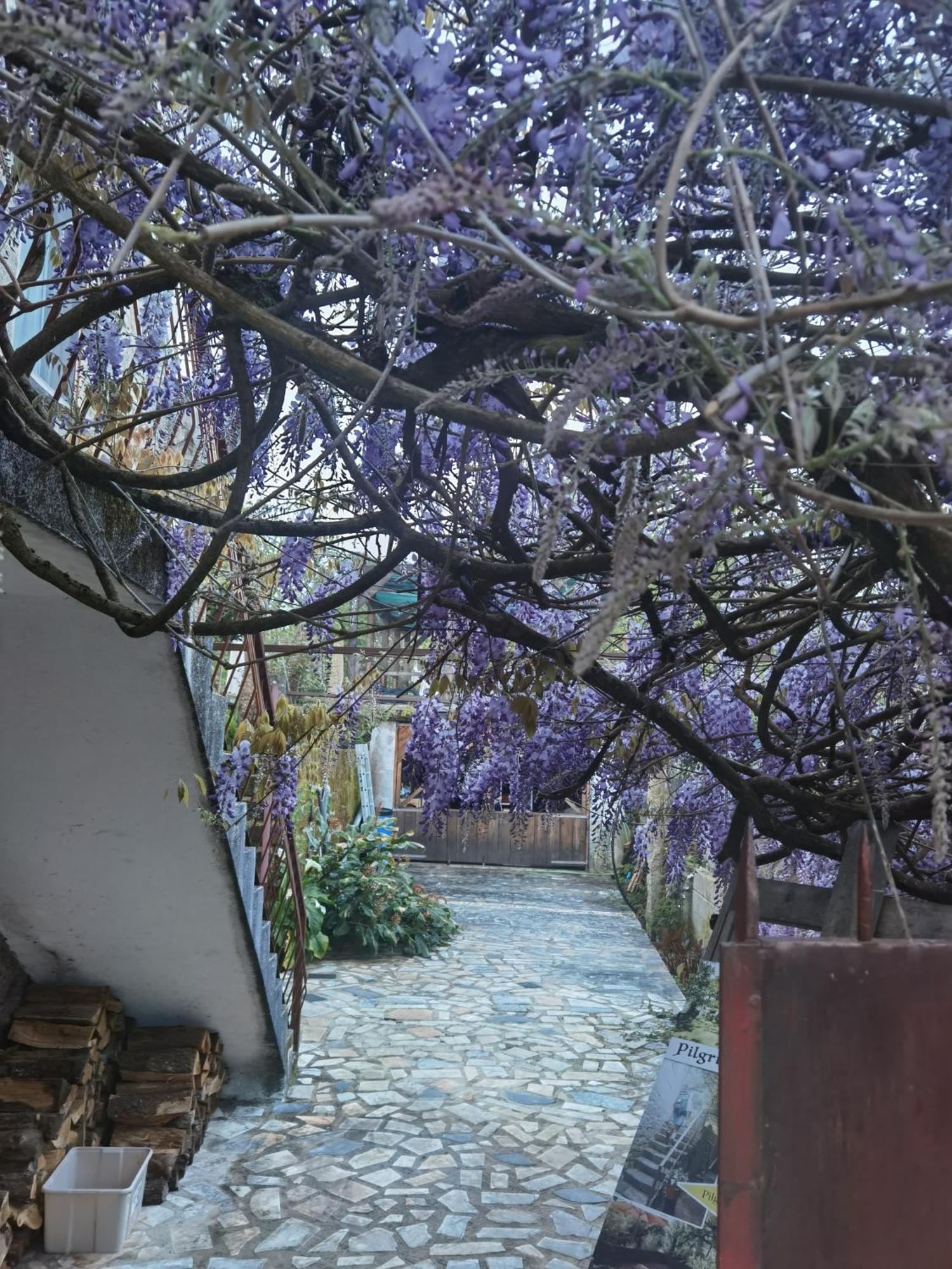 Pilgrims Rest - Vila Nova De Cerveira - Hostel - Albergue - Al Exteriör bild