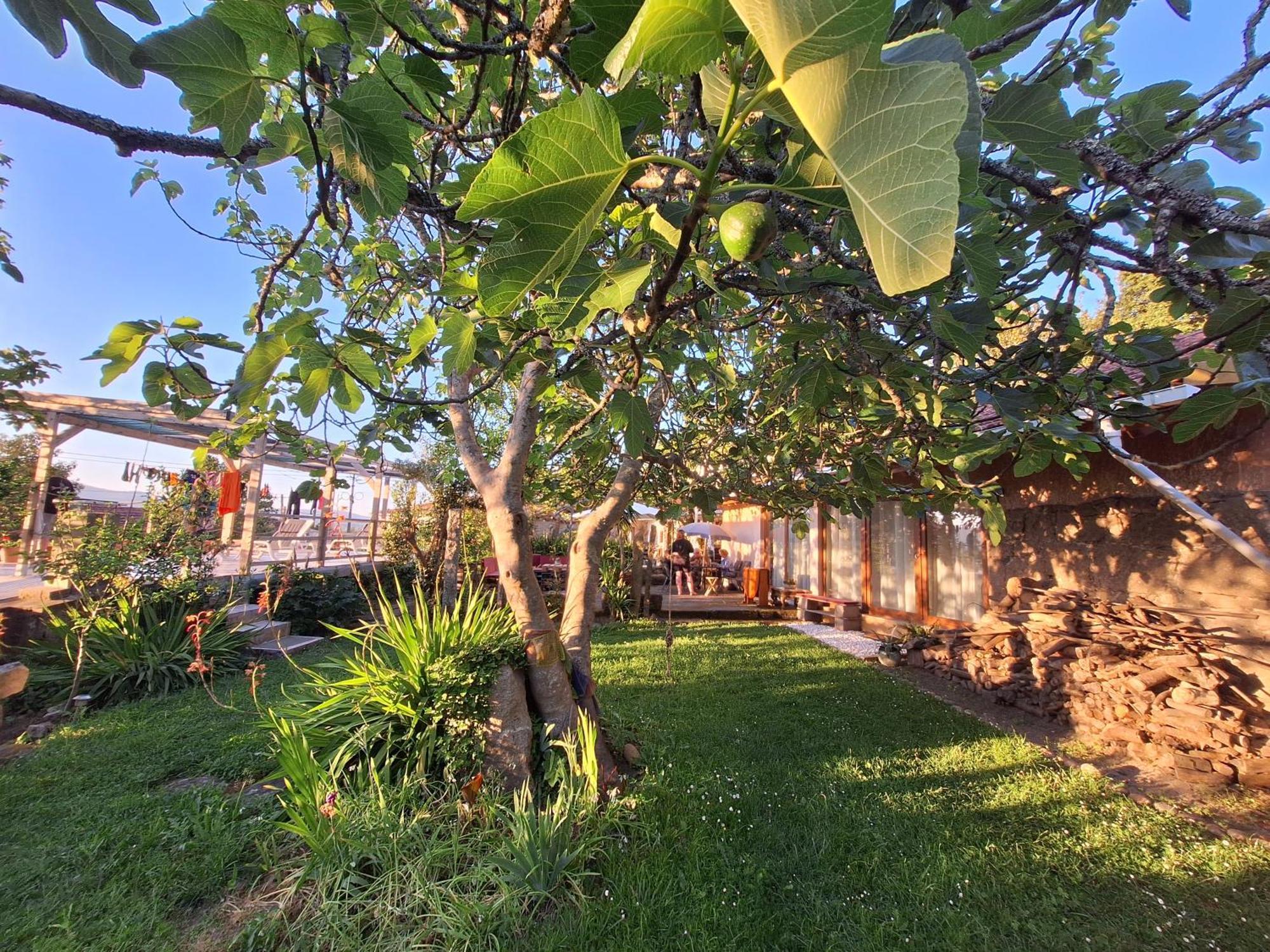 Pilgrims Rest - Vila Nova De Cerveira - Hostel - Albergue - Al Exteriör bild